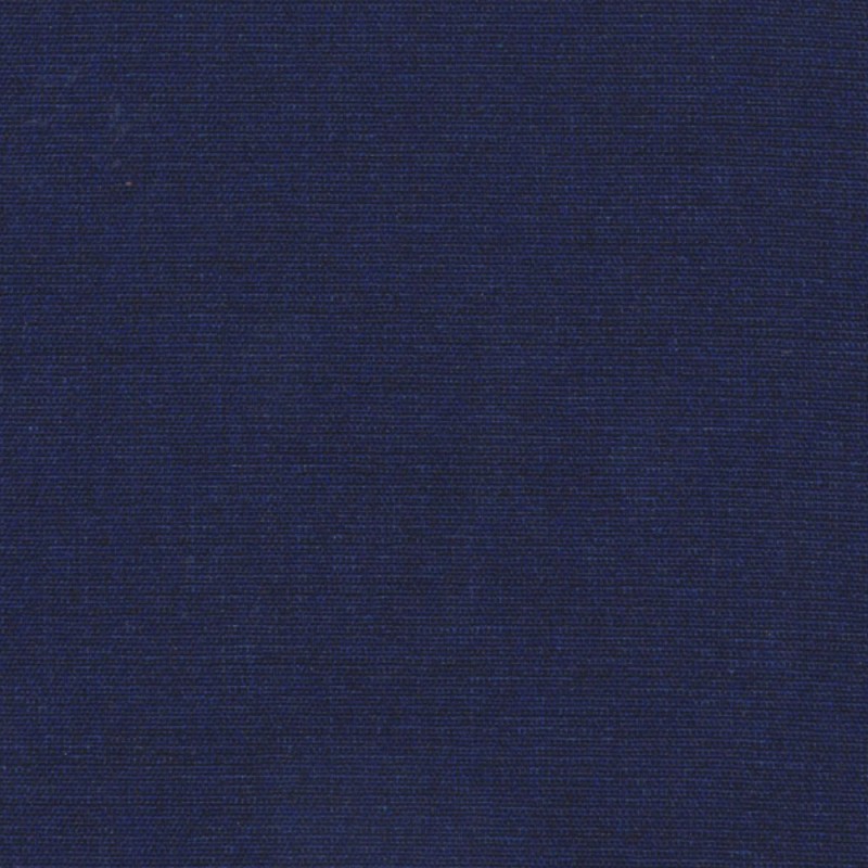 Isshiki Blue Berry