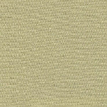 Isshiki Kiwi