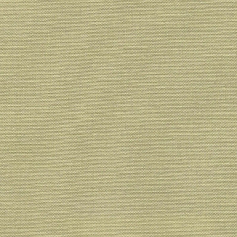 Isshiki Kiwi