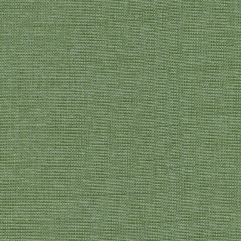 Isshiki Olive
