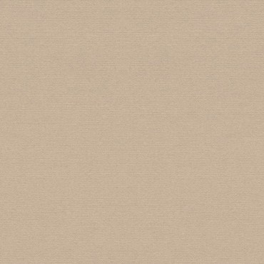 Sunbrella Solids & Stripes Antique Beige