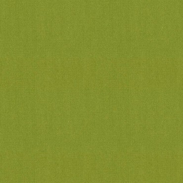 Sunbrella Solids & Stripes Macao