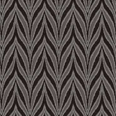 Solero Liquorice