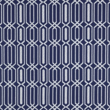 Fiesta Blueberry
