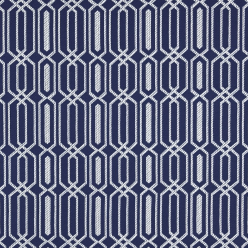 Fiesta Blueberry